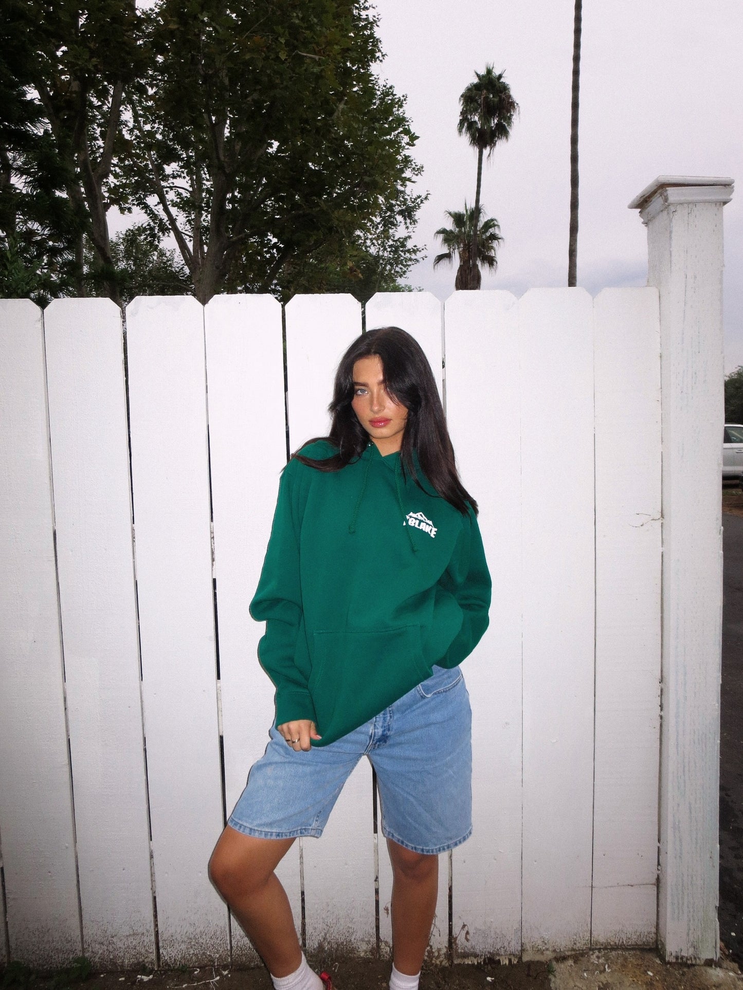 GREEN TBLAKE HOODIE